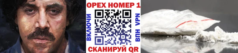 Cocaine Fish Scale  купить наркоту  Ершов 