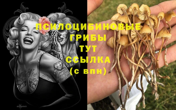 дживик Вязники