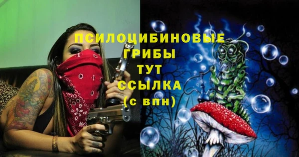 дживик Вязники