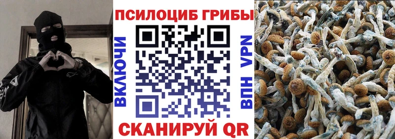 МЕГА зеркало  Ершов  Псилоцибиновые грибы Magic Shrooms 